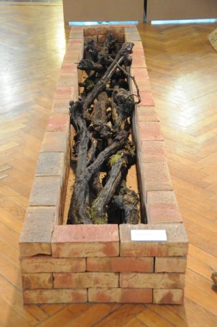 Rekonstruktion einer Feuerstelle, wie sie in deutschen Nachtscheinanlagen üblich waren. Ausstellung zur Scheinanlage "Brasilien" in Lauffen, 2011.